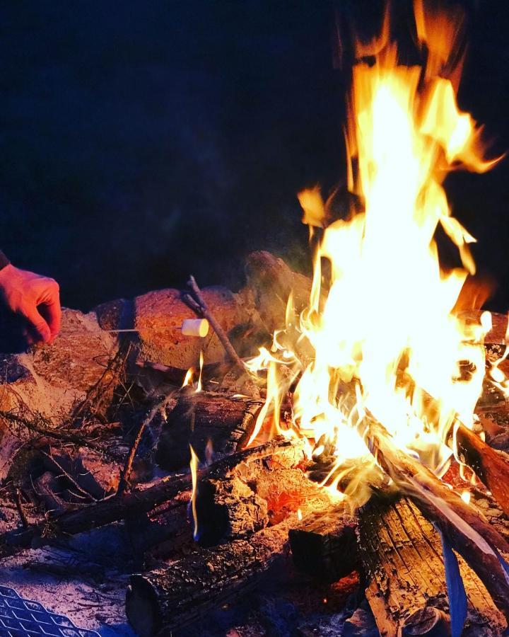 Kuusehaldja Glamping 호텔 Kohila 외부 사진