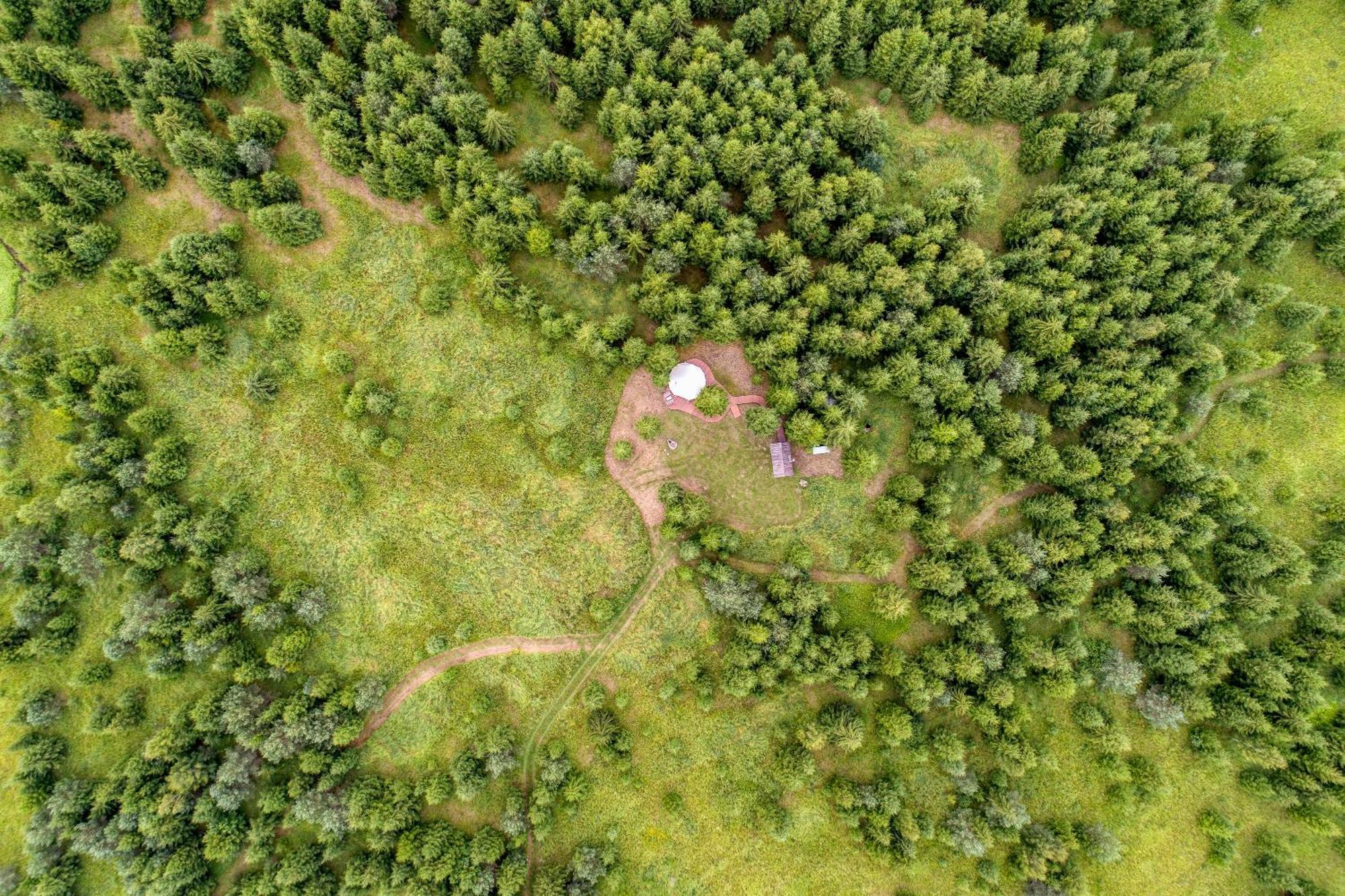 Kuusehaldja Glamping 호텔 Kohila 외부 사진
